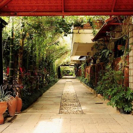 The Green Path Eco Hotel 班加罗尔 外观 照片